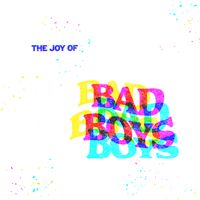 Bad Boys - The Joy of Bad Boys (Explicit)