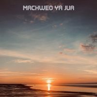 blackfish - Machweo ya jua