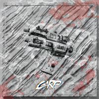 GARP - SUS