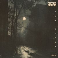 Turi - The Night