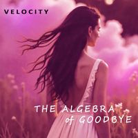 Velocity - The Algebra of Goodbye