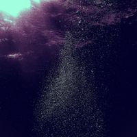 Elmer - Rocks Like Anchors