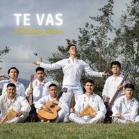 Sentimiento y Fuerza - Te vas