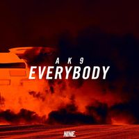 Ak9 - Everybody