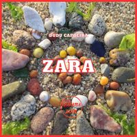 Dudu Capoeira - Zara