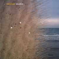 Dirk Leyers - Wellen