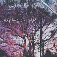 Collin Snow - Everything In Sight