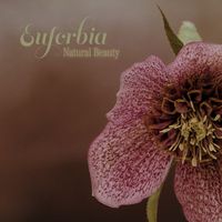 Euforbia - Natural Beauty