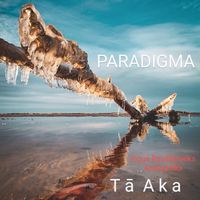 Paradigma - Tā aka (Ingus Baušķenieks Analog Mix)