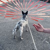 We Are Scientists - What You Want Is Gone