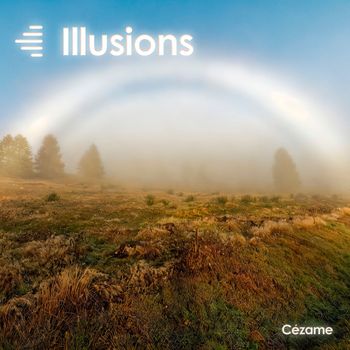 Various Artists - Illusions