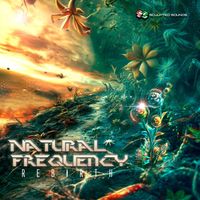Natural Frequency - Rebirth