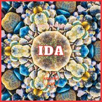 Dudu Capoeira - Ida