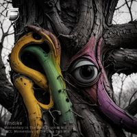 Findike - Momentary in the Dark