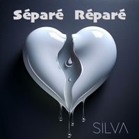 Silva - Séparé réparé