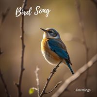 Jim Mings - Bird Song