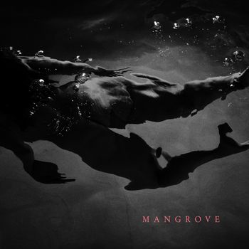Mangrove - Fall