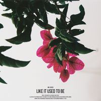 Mr. Käfer - Like It Used To Be