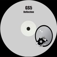 GS5 - Reflection