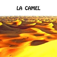 Cheb Khaled - La Camel