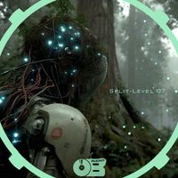 Haveck - Split-Level 07