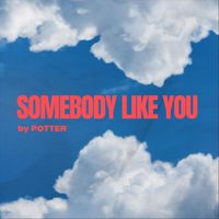 Potter - Somebody Like You