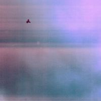 Lavo - The Bird Will Sing
