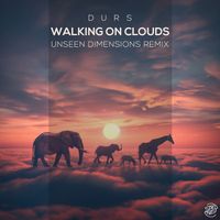 Durs - Walking On Clouds (Unseen Dimensions Remix)