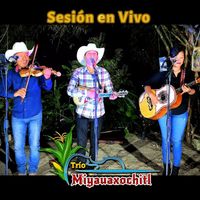 Trio Miyauaxochitl - Sesion En Vivo