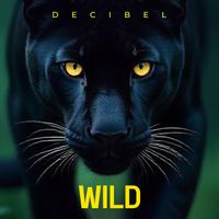 Decibel - Wild