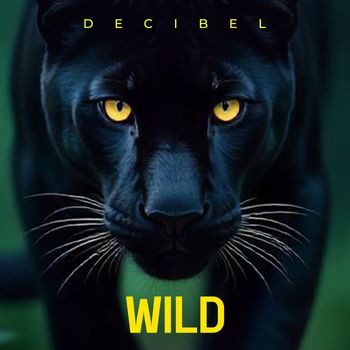Decibel - Wild