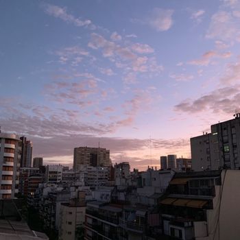 Elex - buenos aires