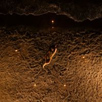 Kristina - X TU BOKITA