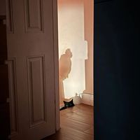 ElMari. - Everything For You