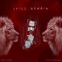 Dre Island - Still Remain