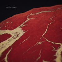 Didacta - Caudal Dorsa