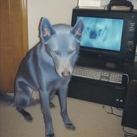 Third Son - Dying is my last chance at retirement