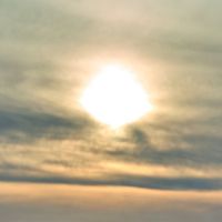 Shakes - God's Creation