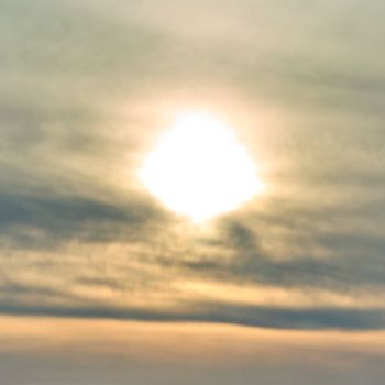 Shakes - God's Creation