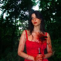 Natasha Hoffmann - ladrão de coração
