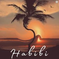 ANASS BEATS - Habibi