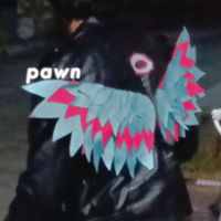 cirrus - pawn