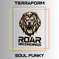 TERRAFORM - Soul Funky