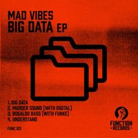 Mad Vibes - Big Data EP