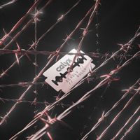 Calyx - Deadly / Gully