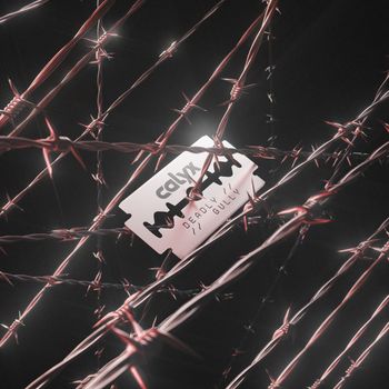 Calyx - Deadly / Gully