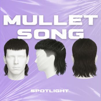 Spotlight - Mullet song