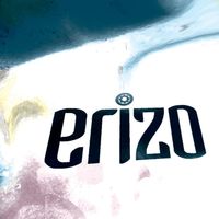 Erizo - Pequeño
