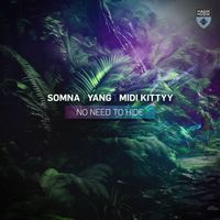 Somna, Yang, MIDI Kittyy - No Need To Hide