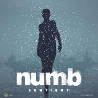 Numb - Sentient (Explicit)